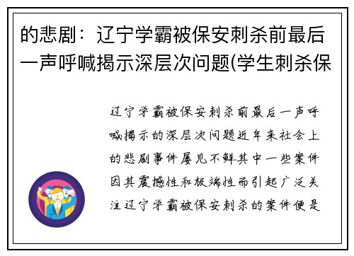的悲剧：辽宁学霸被保安刺杀前最后一声呼喊揭示深层次问题(学生刺杀保安)