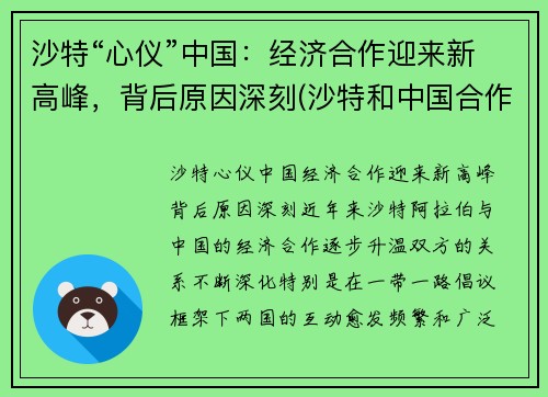 沙特“心仪”中国：经济合作迎来新高峰，背后原因深刻(沙特和中国合作)