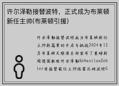 许尔泽勒接替波特，正式成为布莱顿新任主帅(布莱顿引援)